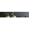 Logo B&uuml;ro- & Objektbegr&uuml;nung Sabine Eisen