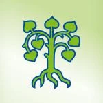Logo Bund Naturschutz in Bayern e.V. Kreisgruppe Memmingen-Unterallgäu