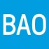 Logo Bundesarbeitsgemeinschaft Osteopathie e.V.-BAO