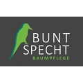 Buntspecht Baumpflege Henstedt-Ulzburg