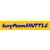 Logo Burgthannshuttle Taxi