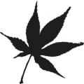 Logo Burkard & Z&auml;pfel GbR