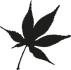 Logo Burkard & Zäpfel GbR