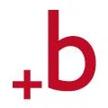 Logo Busche