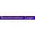 Logo Busunternehmen Langer