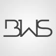 Logo bws consultants