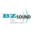Logo BZ Sound Michael Berger
