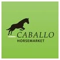 Logo Caballo Horsemarket - H&uuml;bner & Wilmsen GbR