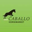 Logo Caballo Horsemarket - H&uuml;bner & Wilmsen GbR