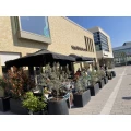 Cafe Kokkos Hofheim