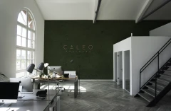 Caleo Advisors GmbH Frankfurt