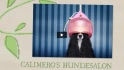 Logo CALIMERO'S HUNDESALON