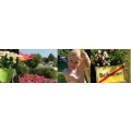 Logo Camping Hohensyburg