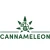 Logo Cannameleon GmbH