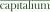 Logo Capitalium Baufinanzierung und Immobilienprojekte