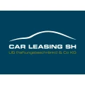 Logo Car-Leasing u. Repo UG & Co. KG
