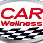 Logo Car Wellness KG