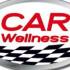 Logo Car Wellness KG