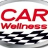 Logo Car Wellness KG