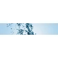 Logo Care Der Geb&auml;udereiniger