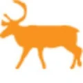 Logo Caribou Outdoor