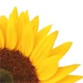 Logo Caritas Altenzentrum H&ouml;velhof e.V.