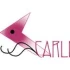 Logo CARLI-medien Dr. Carsten Lipppert Internetservice