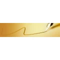 Logo Carola Duchow