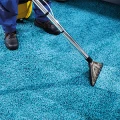 CARPET CLEANER - Hachum Evessen
