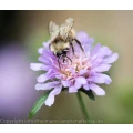 Besucher - Naturnahe Gartenanlage