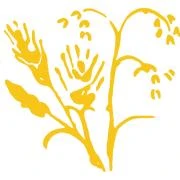 Logo Rose, Carsten