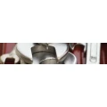 Logo Welp, Carsten