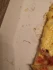 Logo Casa Mia Pizzeria Restaurant