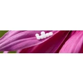 Logo Weitzd&ouml;rfer, Catherine
