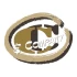 Logo CC-Company