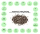 Logo chia-samen-fit.de