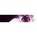Logo ChiciMici