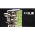Logo Chido UG (haftungsbeschr&auml;nkt)