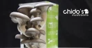 Logo Chido UG (haftungsbeschränkt)