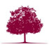 Logo Christian Geng Gengs Linde