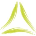 Logo Krause - Mazzitelli, Christiane