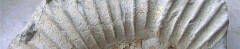 Logo Christiane Nupnau-Herde