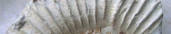 Logo Christiane Nupnau-Herde