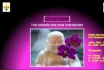 Logo Christiane Schwarz-Scollato Friseur