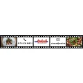 Logo Cinecat Film- u. Fernsehproduktion