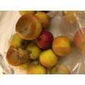 Claudia Bohnen Heinrich Obstbau Meckenheim