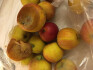 Logo Claudia Bohnen Heinrich Obstbau