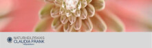Logo Claudia Frank Heilpraktikerin
