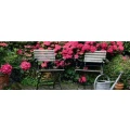 Logo Hirmer, Claudia