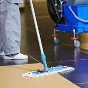Cleaning Service Luger Wertheim